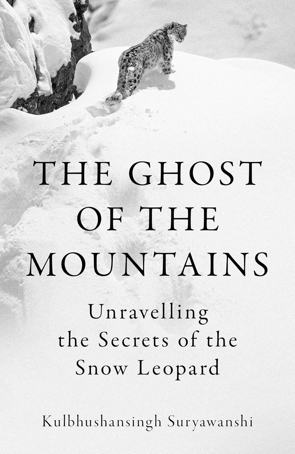 The Ghost of the Mountains by Kulbhushansingh Suryawanshi